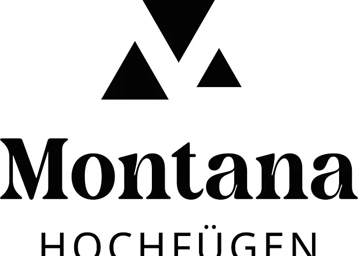 Appart&Chalet Montana Hochfügen (Contactless Stay)